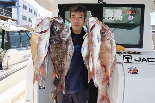 マダイの釣果