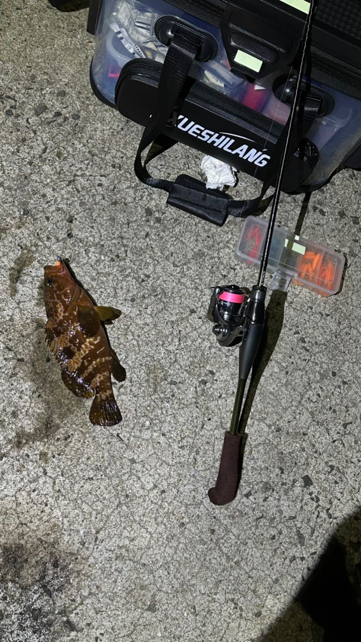 アコウ