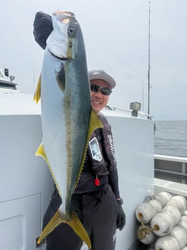 ヒラマサの釣果