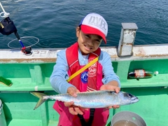 マサバの釣果