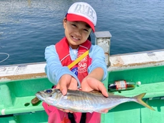 マアジの釣果