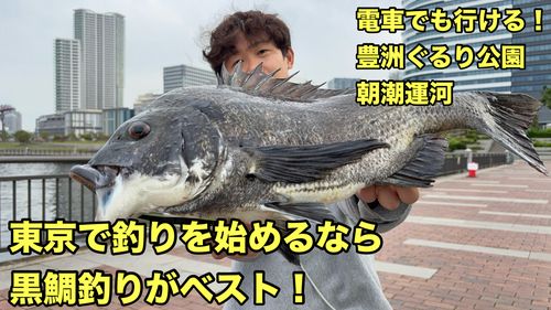 クロダイ