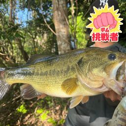 ブラックバス