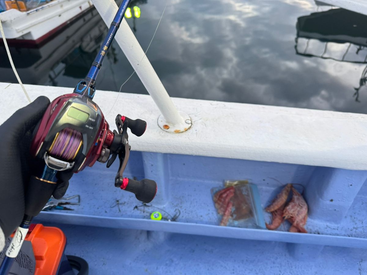 shizuシズさんの釣果 3枚目の画像