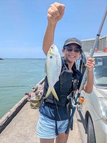 アシチンの釣果