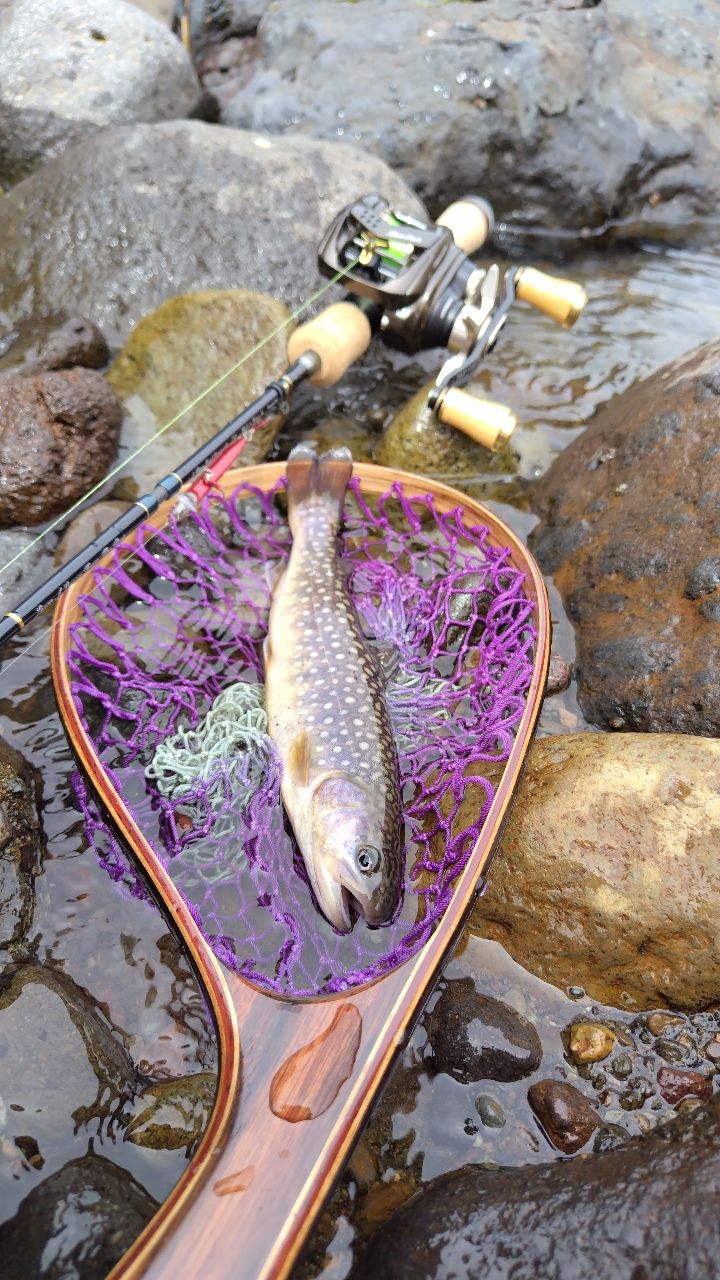 TENRYU 23レイズ インテグラル RZI484B-ULの最安値・インプレ・釣果