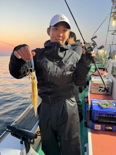 ヤリイカの釣果