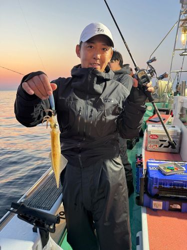 ヤリイカの釣果