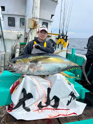 ビンチョウマグロの釣果