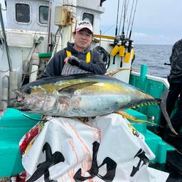 ビンチョウマグロ