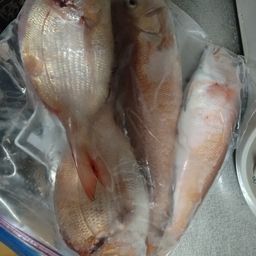 アマダイ