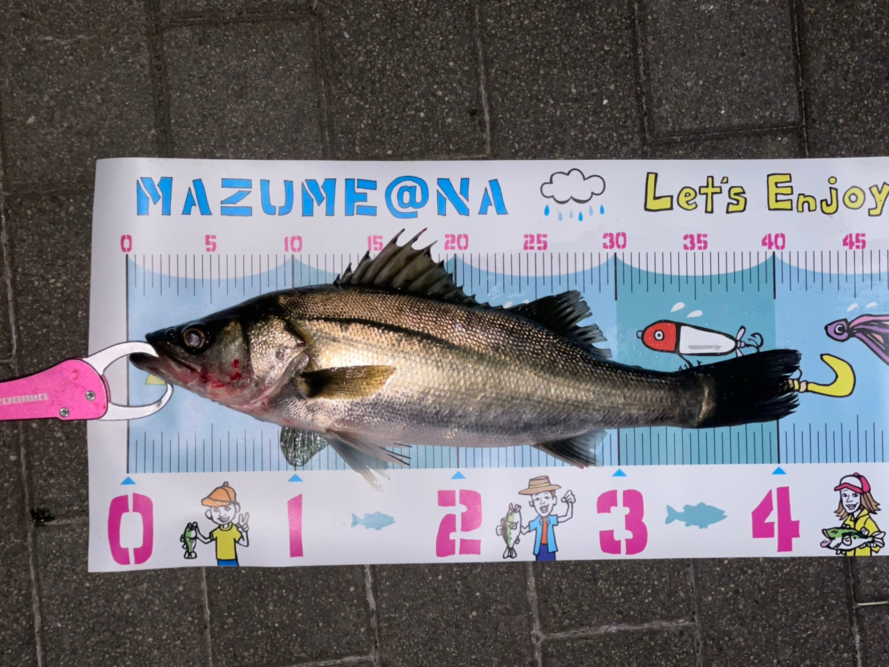 SHIMANO 23ディアルーナ S96MLの最安値・インプレ・釣果 | 本音 SHIMANO 23ディアルーナ S96MLの最安値・インプレ・釣果 | 本音