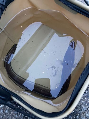 マアナゴの釣果