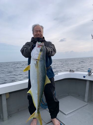 ヒラマサの釣果