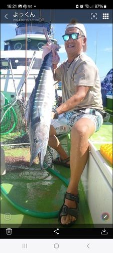 カマスサワラの釣果