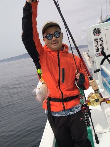 キダイの釣果
