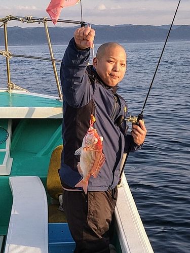 キダイの釣果