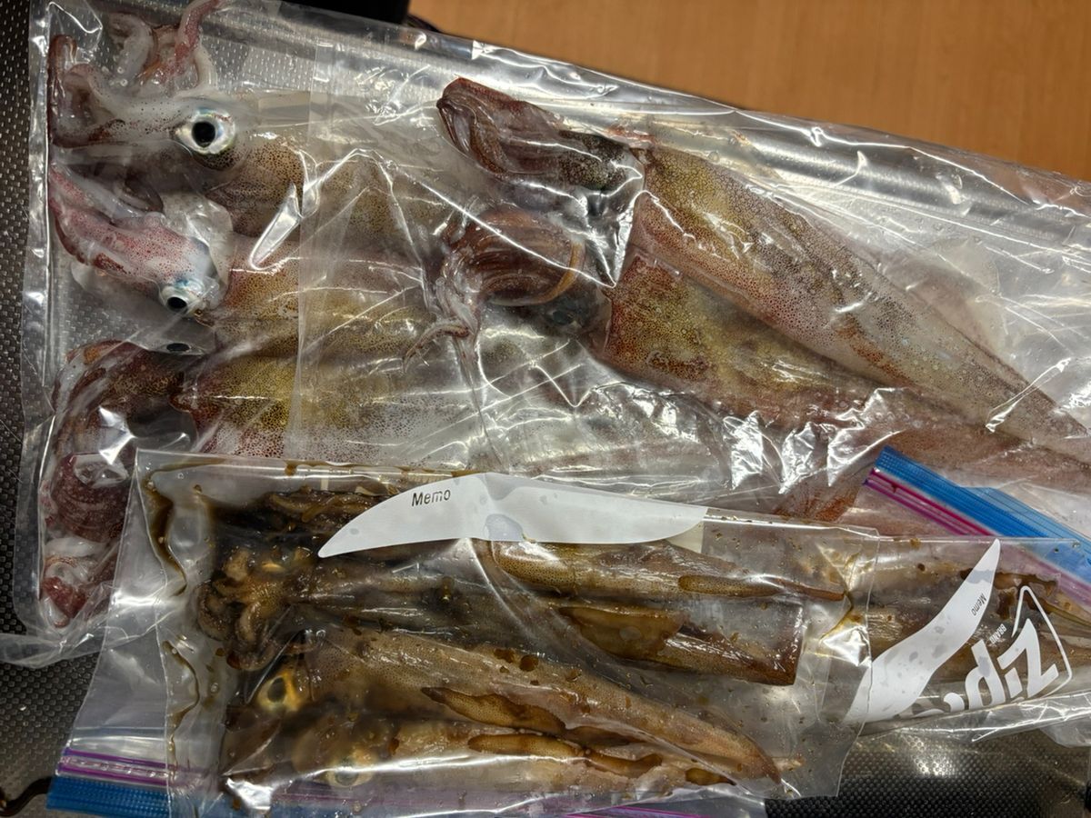緑黄色野菜さんの釣果 1枚目の画像
