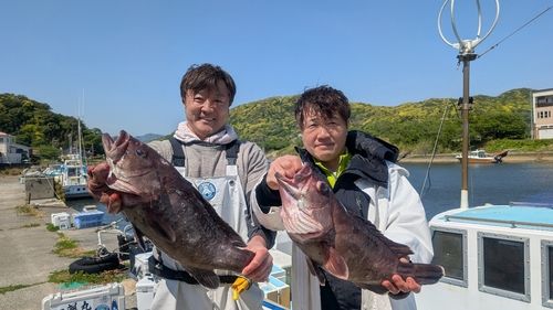 マハタの釣果