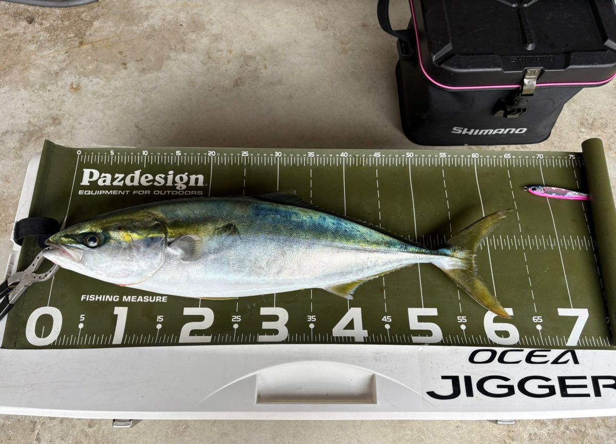 _tkgさんの釣果 2枚目の画像