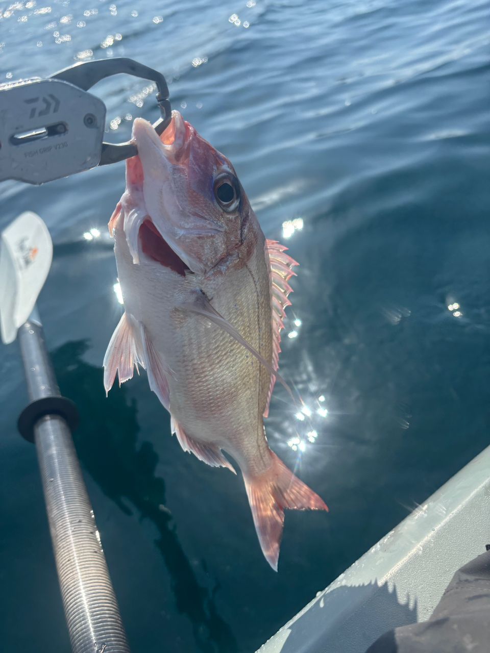 シマノ(SHIMANO) スピニングロッド 19 スコーピオン2704RS-2 スコーピオン2704RS-2のスペックとインプレ | ジギングリールラボ