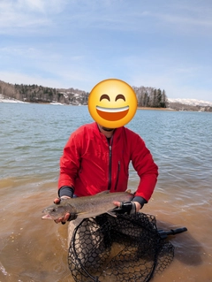 イトウの釣果