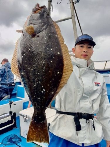 ヒラメの釣果