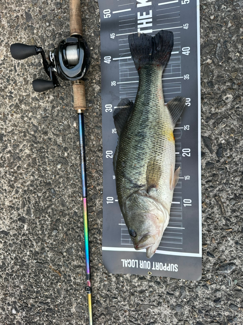 SHIMANO 23ワールドシャウラ リミテッド 1704R-2の最安値