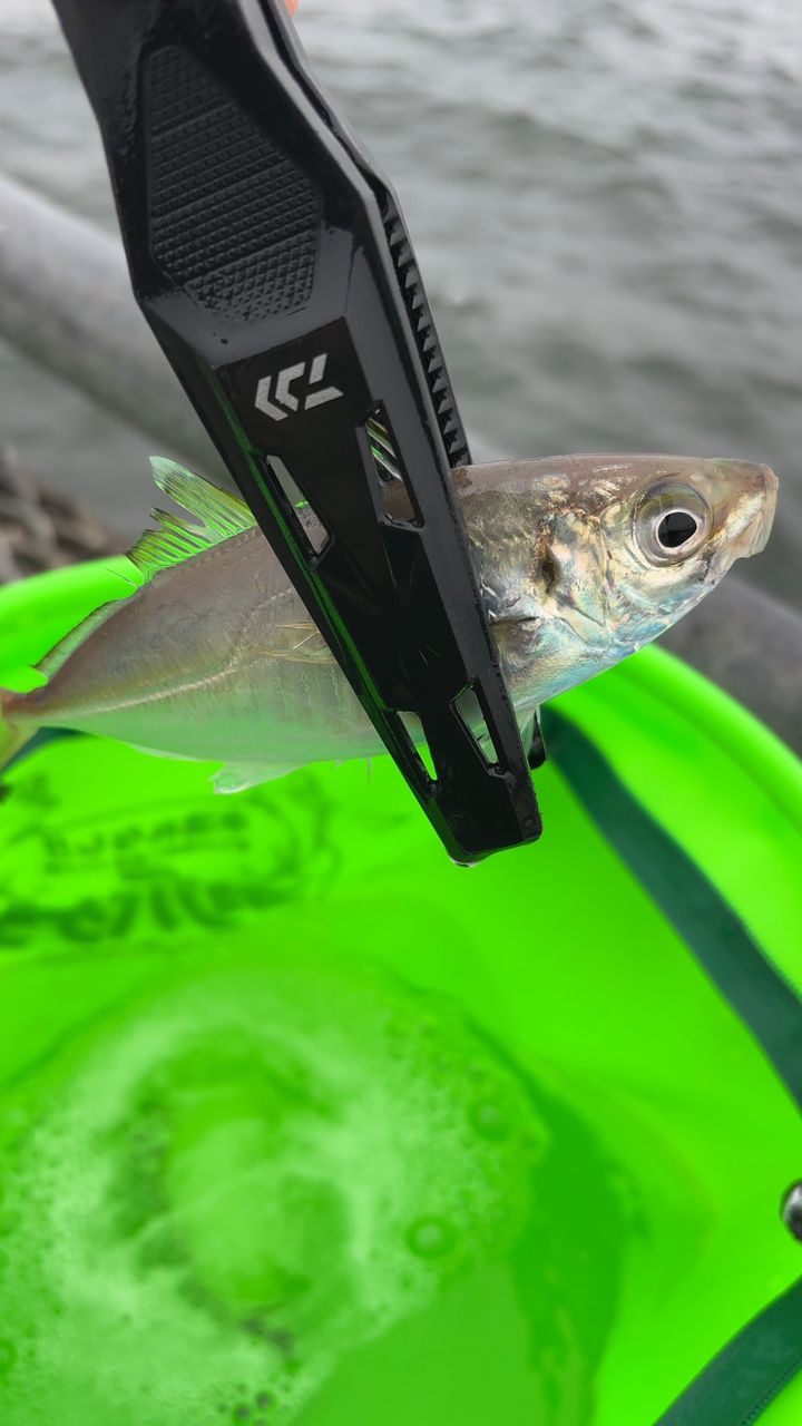 ダイワ　リバティクラブ　ショートスイング　10-330 DAIWA 21リバティクラブ ショートスイング 10号-330・Nの最安値