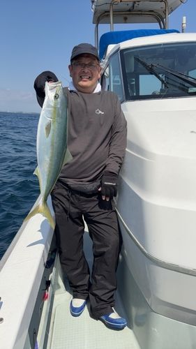 ワラサの釣果