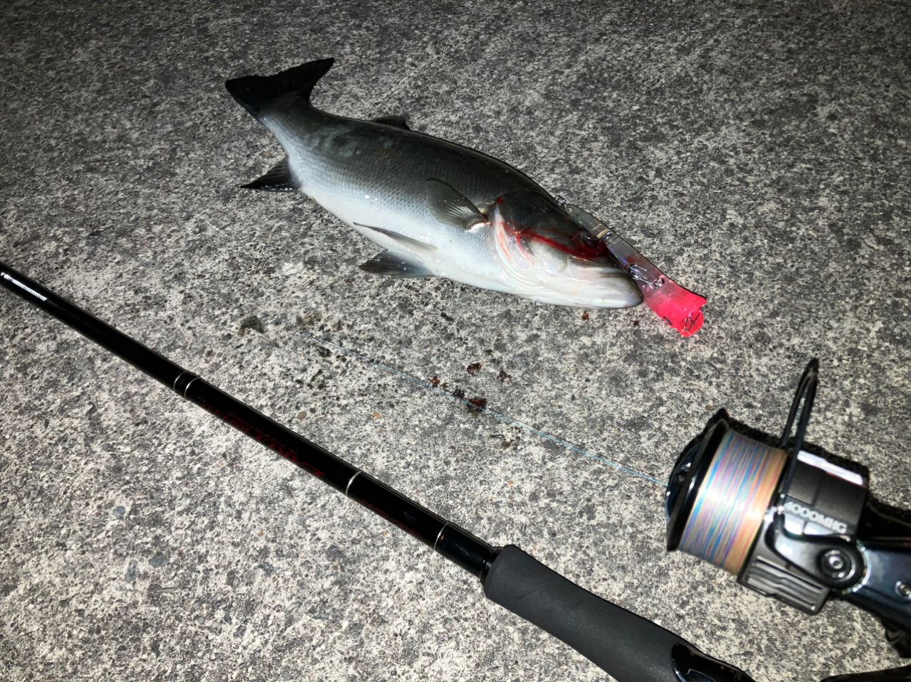 YAMAGA Blanks アーリー リミテッド 103M LTDの最安値・インプレ・釣果