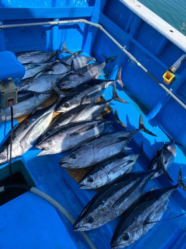 釣果