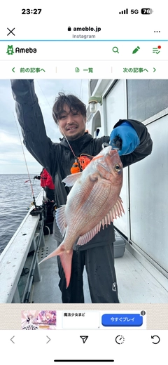 マダイの釣果