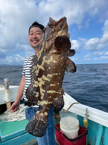 タマカイの釣果