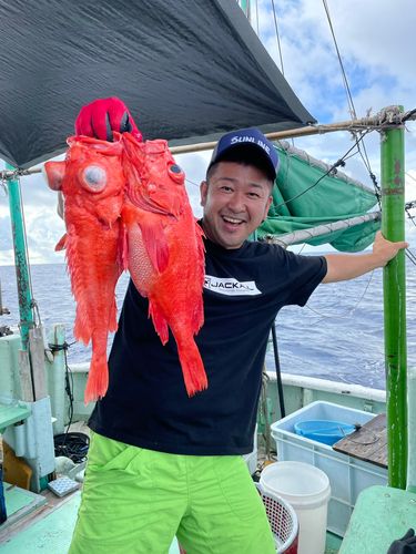 アコウダイの釣果