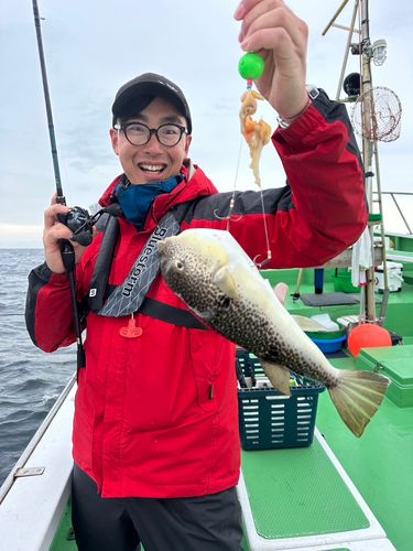 ショウサイフグ