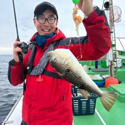 ショウサイフグ