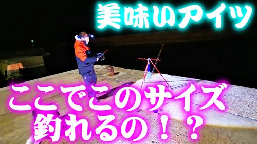 エゾメバルの釣果