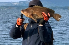 オオモンハタの釣果