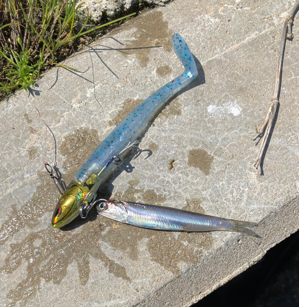 SHIMANO 23ルアーマチック（ソルトルアー推奨モデル） S76MLの最