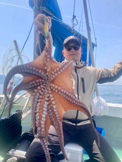 タコの釣果