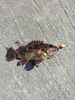 釣果