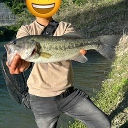 ブラックバス