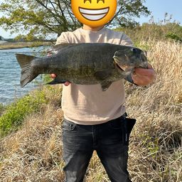 ブラックバス