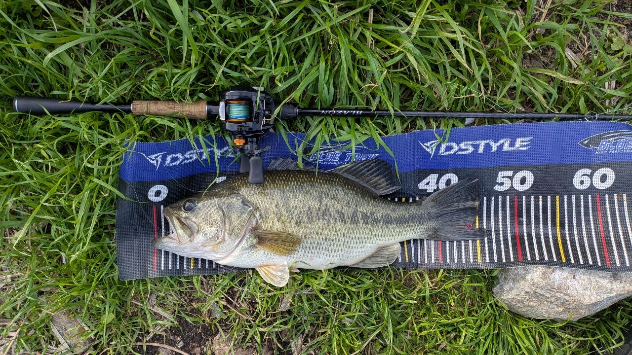 DAIWA 21ブレイゾン C66Mの最安値・インプレ・釣果 | 本音の口コミが