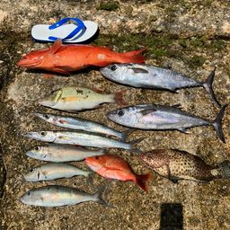 アカジンミーバイ