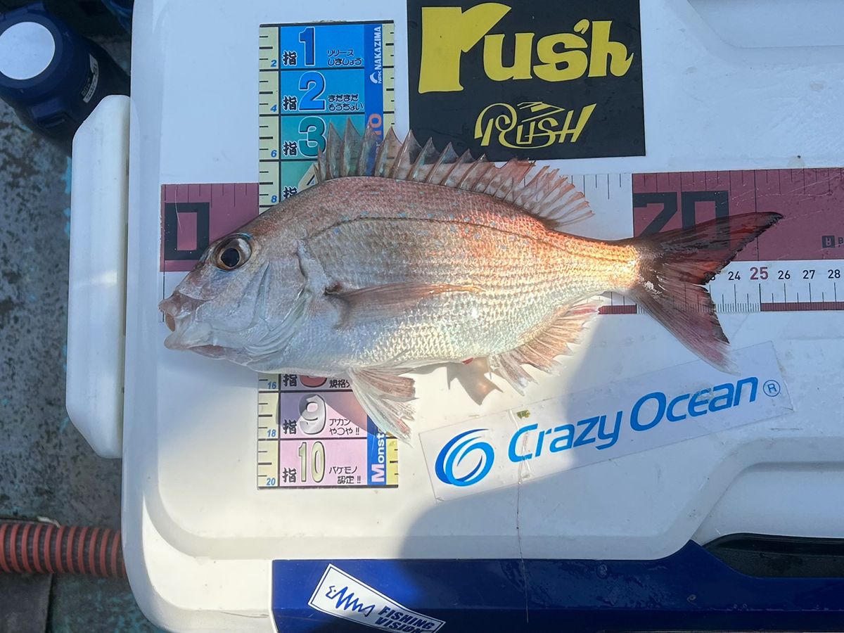 たけしハイさんの釣果 1枚目の画像