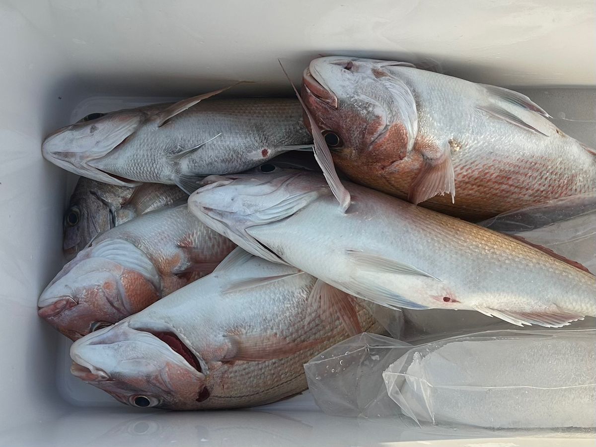 たけしハイさんの釣果 2枚目の画像