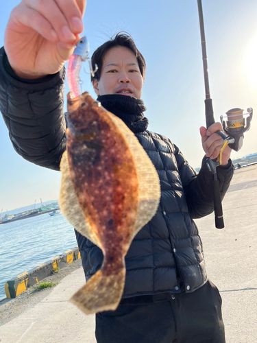 ヒラメの釣果