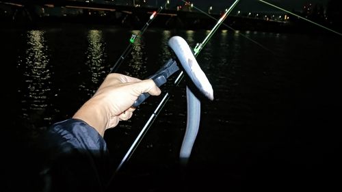 ウナギの釣果